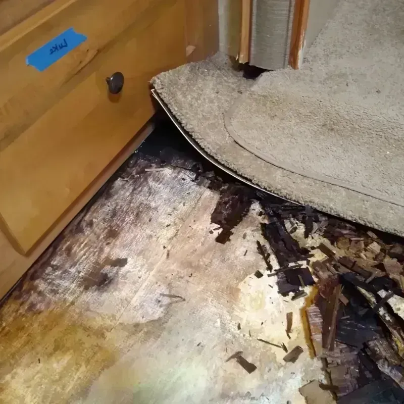 Wood Floor Water Damage in Douglas County, MN